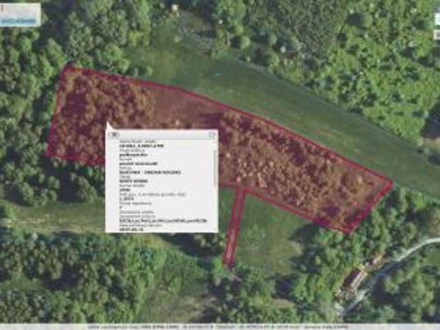 Bezpośrednio, Nowy Borek, 13675 m² Działka