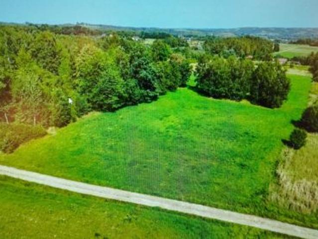 Bezpośrednio, Nowy Borek, Babiak, 2650 m² Działka