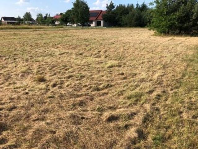 Bezpośrednio, Nowy Dwór, 1549 m² Działka