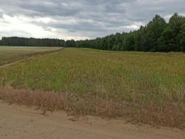 Bezpośrednio, Nowy Krysk, 26800 m² Działka