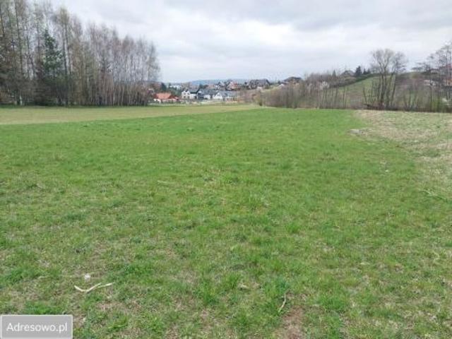 Bezpośrednio, Nowy Sącz, ul. Mała Poręba, 9900 m² Działka