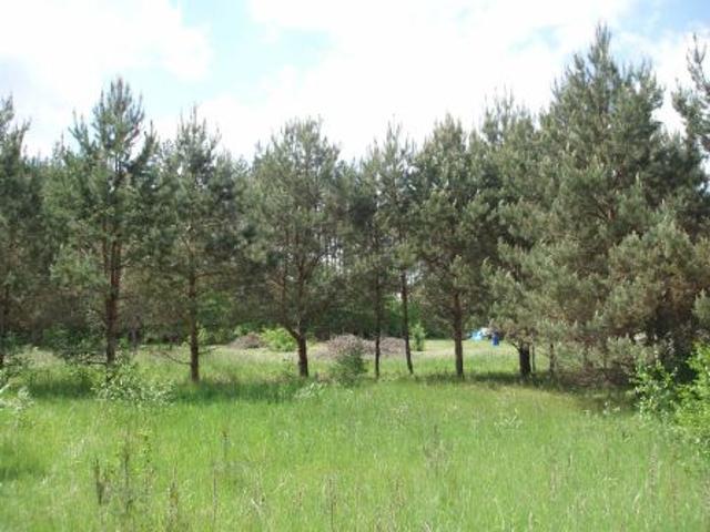 Bezpośrednio, Natać Wielka, 1217 m² Działka