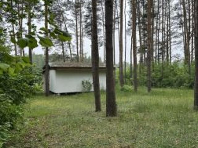 Bezpośrednio, Nagórki, 8000 m² Działka