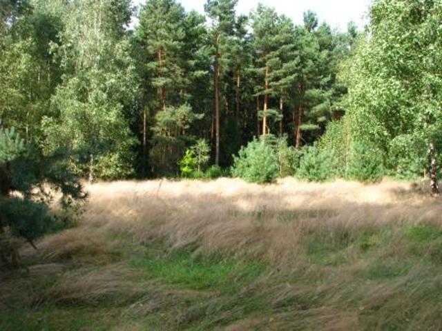 Bezpośrednio, Naglady, 1441 m² Działka