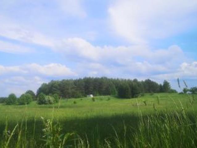 Bezpośrednio, Narty, 600 m² Działka