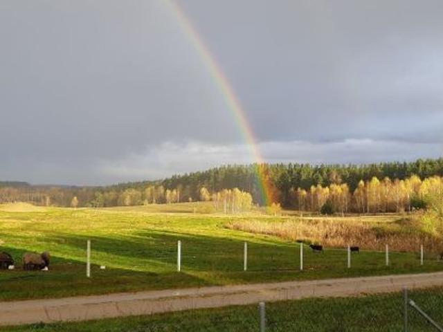 Bezpośrednio, Naryjski Młyn, 7368 m² Działka