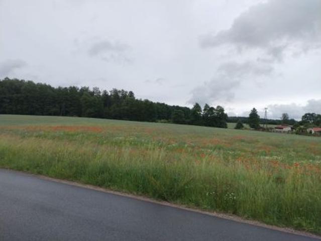 Bezpośrednio, Nekla, 1006 m² Działka