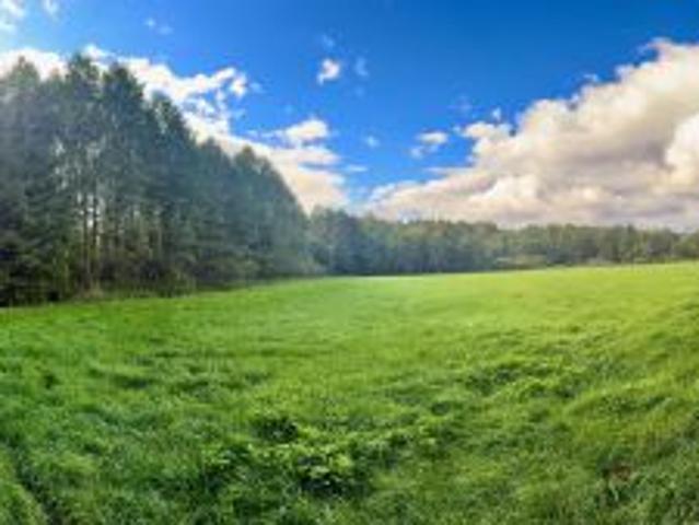 Bezpośrednio, Nitki, 24200 m² Działka