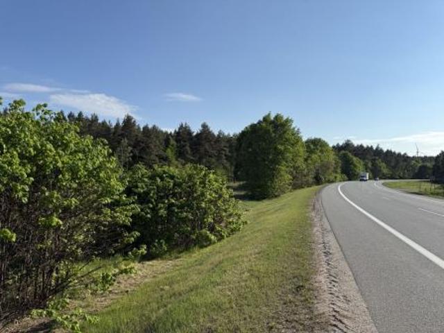 Bezpośrednio, Nicponia, 15000 m² Działka