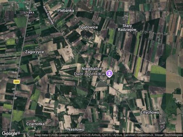 Bezpośrednio, Niegibalice, 59800 m² Działka