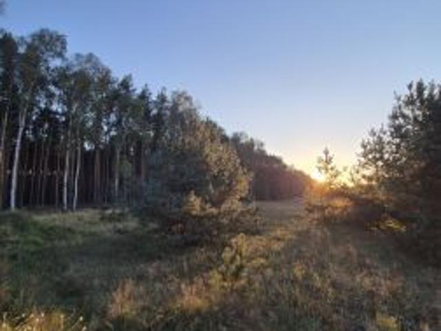 Bezpośrednio, Niedoradz, 893 m² Działka