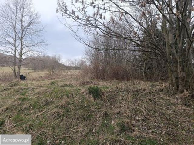 Bezpośrednio, Niedamirów, 1255 m² Działka