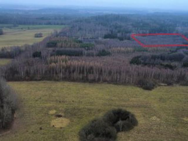 Bezpośrednio, Niedbałki, 27000 m² Działka