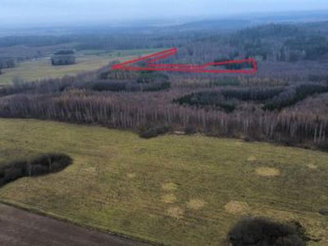 Bezpośrednio, Niedbałki, 31000 m² Działka