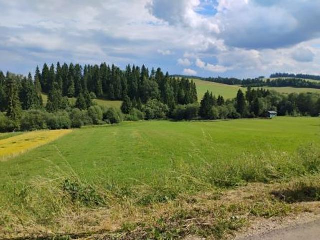 Bezpośrednio, Niedzica, 3093 m² Działka