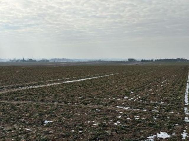 Bezpośrednio, Niemce, Włóki, 3000 m² Działka