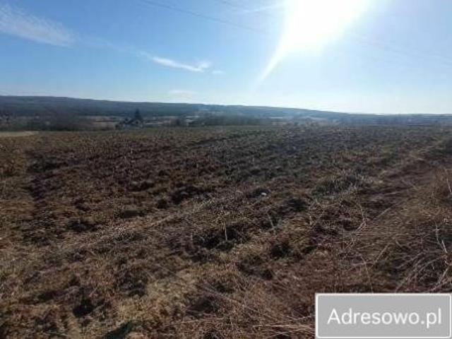 Bezpośrednio, Niemienice, 10522 m² Działka