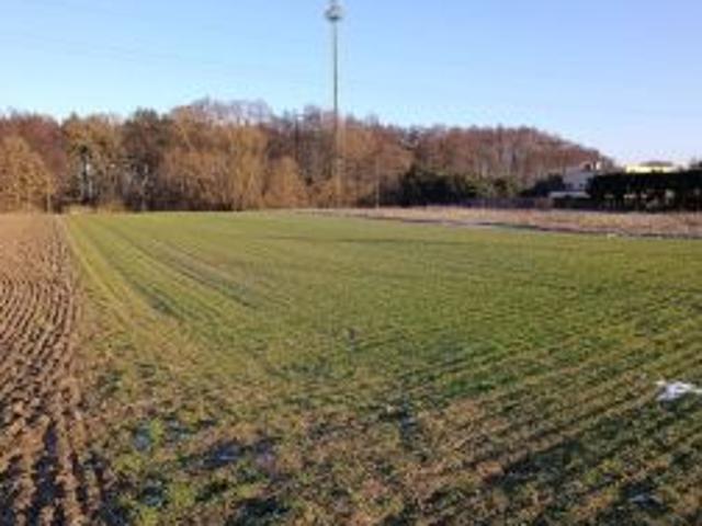 Bezpośrednio, Niepruszewo, 5000 m² Działka