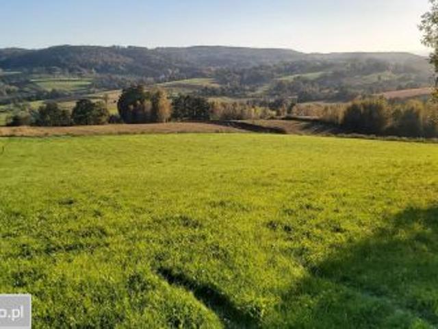Bezpośrednio, Nieprześnia, 7700 m² Działka