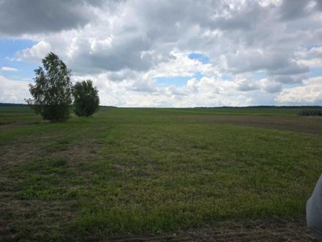Bezpośrednio, Nieznanowice, 1260 m² Działka