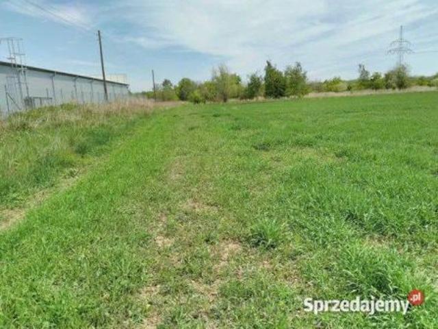 Bezpośrednio, Nysa, Dolna Wieś, ul. Marszałka Józefa Piłsudskiego, 2511 m² Działka