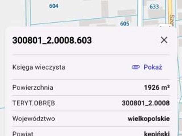 Bezpośrednio, Słupia pod Kępnem, ul. Wąska, 1900 m² Działka