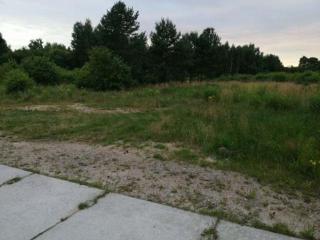 Bezpośrednio, Sławoborze, ul. Leśna, 962 m² Działka