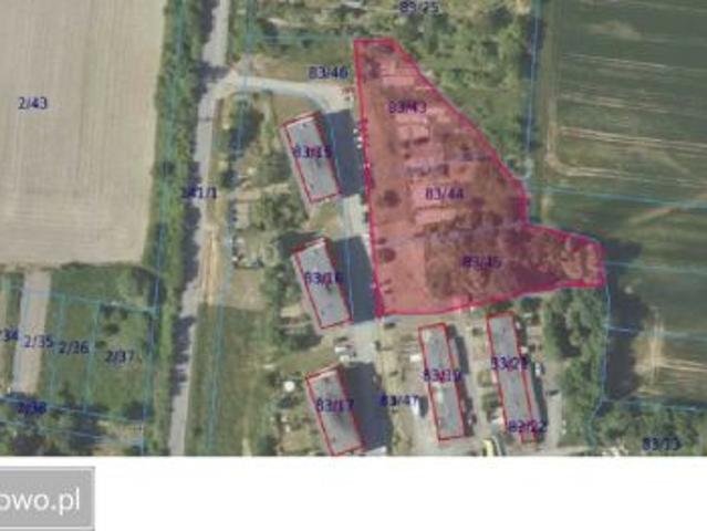 Bezpośrednio, Sędzice, 4697 m² Działka