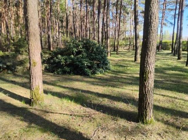 Bezpośrednio, Słowak, 861 m² Działka