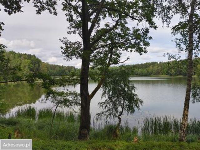 Bezpośrednio, Sąpolno, 14200 m² Działka