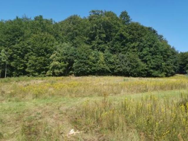 Bezpośrednio, Smętowo Chmieleńskie, 1001 m² Działka