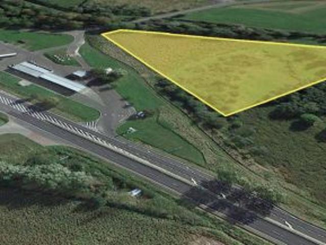 Bezpośrednio, Smardzów, 16000 m² Działka