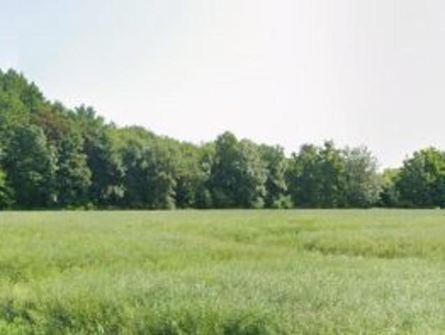 Bezpośrednio, Smolec, ul. Agroturystyczna, 11527 m² Działka