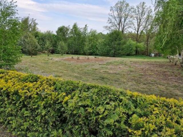 Bezpośrednio, Sowy, 2000 m² Działka