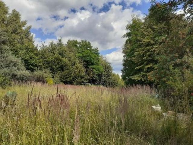 Bezpośrednio, Sołonka, Góra, 2065 m² Działka