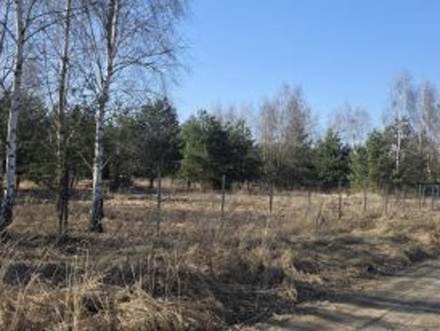 Bezpośrednio, Sokolniki, ul. Sierpecka, 1417 m² Działka