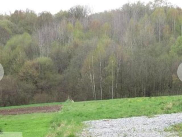 Bezpośrednio, Sosnowice, Podlas, ul. Podlas, 1300 m² Działka