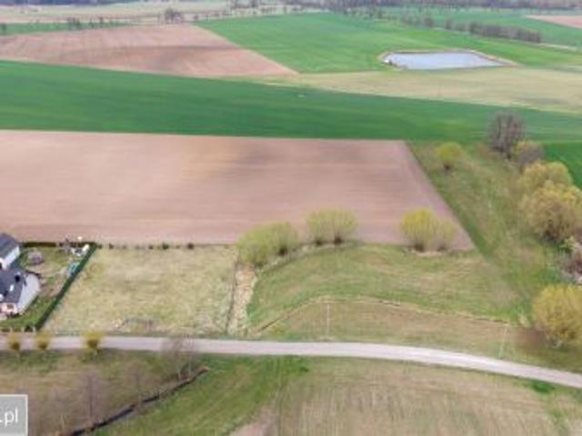 Bezpośrednio, Sosnowiec, ul. Kasztanowa, 4397 m² Działka