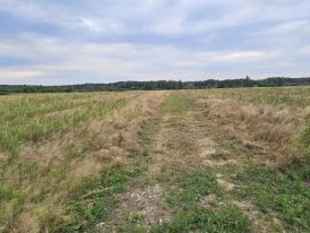 Bezpośrednio, Sawin, 1200 m² Działka
