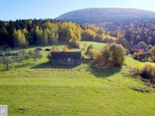 Bezpośrednio, Sadek, 4000 m² Działka