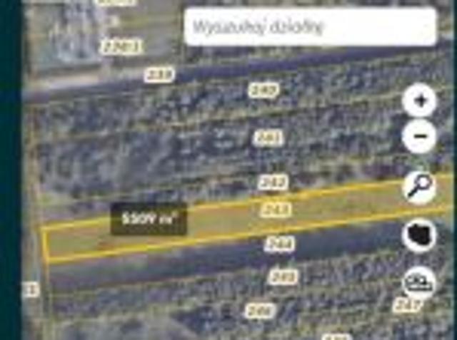 Bezpośrednio, Sadek, Duży Sadek, 5500 m² Działka
