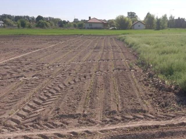 Bezpośrednio, Sadowice, 1500 m² Działka