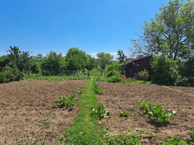 Bezpośrednio, Sandomierz, ul. Działkowców, 500 m² Działka