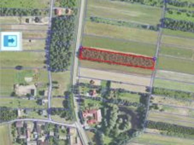 Bezpośrednio, Sarzyna, 4600 m² Działka