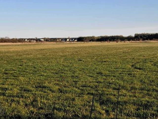 Bezpośrednio, Secemin, 8600 m² Działka