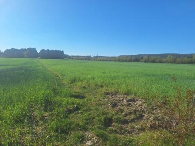 Bezpośrednio, Serock, ul. Nasielska, 1000 m² Działka