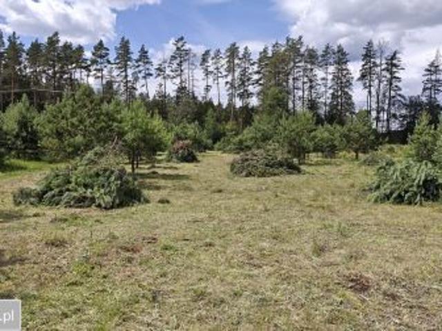 Bezpośrednio, Serski Las, 3000 m² Działka
