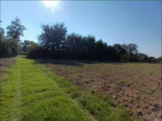 Bezpośrednio, Siedlątków, 1000 m² Działka