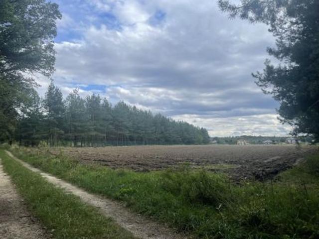 Bezpośrednio, Siedliska, ul. Pod Dębami, 3000 m² Działka