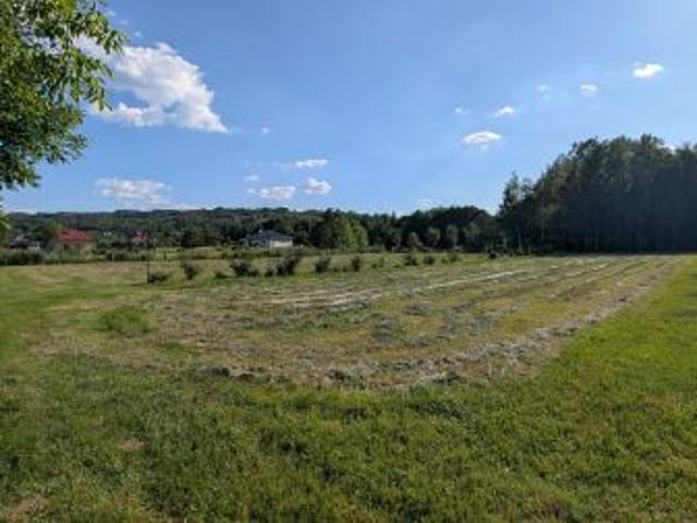 Bezpośrednio, Siedliska, 1000 m² Działka